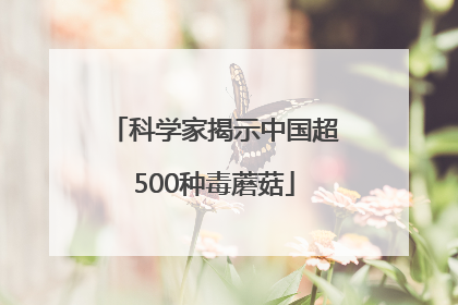 科学家揭示中国超500种毒蘑菇