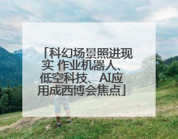 科幻场景照进现实 作业机器人、低空科技、AI应用成西博会焦点