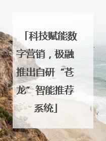 科技赋能数字营销，极融推出自研“苍龙”智能推荐系统
