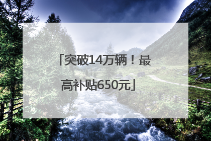突破14万辆！最高补贴650元