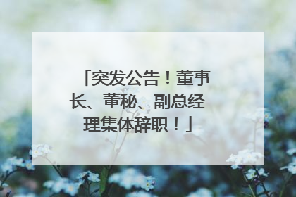 突发公告！董事长、董秘、副总经理集体辞职！