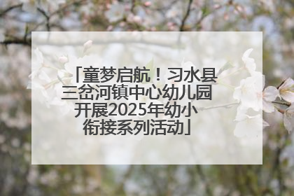 童梦启航！习水县三岔河镇中心幼儿园开展2025年幼小衔接系列活动