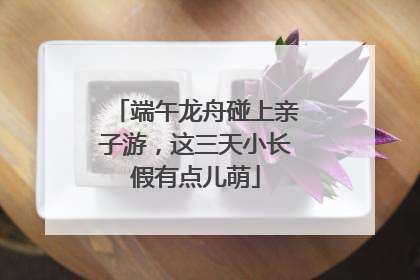 端午龙舟碰上亲子游，这三天小长假有点儿萌