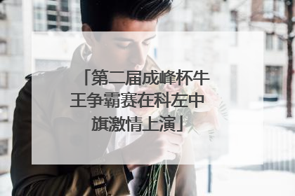 第二届成峰杯牛王争霸赛在科左中旗激情上演