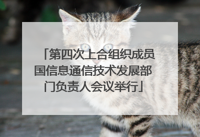 第四次上合组织成员国信息通信技术发展部门负责人会议举行