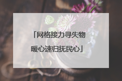 网格接力寻失物 暖心速归抚民心