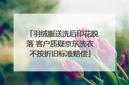 羽绒服送洗后印花脱落 客户质疑京东洗衣不按折旧标准赔偿