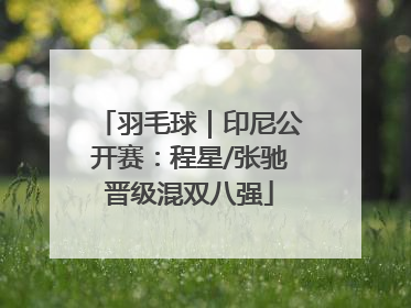 羽毛球｜印尼公开赛：程星/张驰晋级混双八强