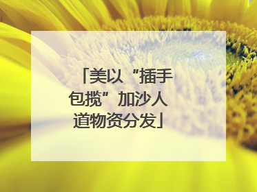 美以“插手包揽”加沙人道物资分发