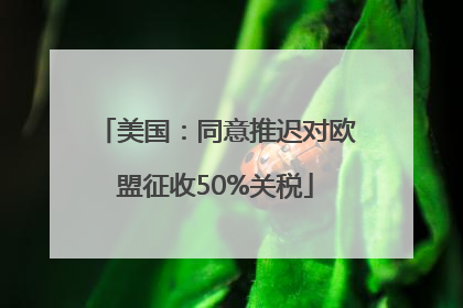 美国：同意推迟对欧盟征收50%关税