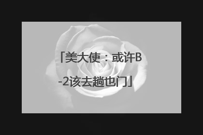 美大使：或许B-2该去趟也门