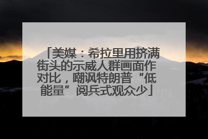 美媒：希拉里用挤满街头的示威人群画面作对比，嘲讽特朗普“低能量”阅兵式观众少