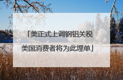 美正式上调钢铝关税 美国消费者将为此埋单