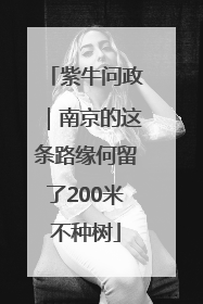 紫牛问政｜南京的这条路缘何留了200米不种树