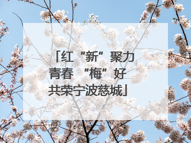 红“新”聚力青春 “梅”好共荣宁波慈城