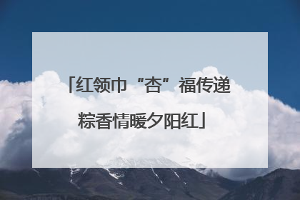 红领巾“杏”福传递 粽香情暖夕阳红