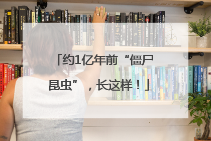 约1亿年前“僵尸昆虫”，长这样！