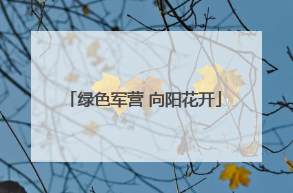 绿色军营 向阳花开