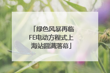 绿色风暴再临 FE电动方程式上海站圆满落幕