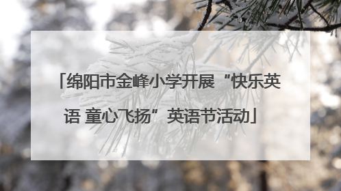 绵阳市金峰小学开展“快乐英语 童心飞扬”英语节活动