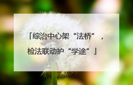 综治中心架“法桥”，检法联动护“学途”