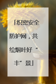 织密安全防护网，共绘烟叶好“丰”景