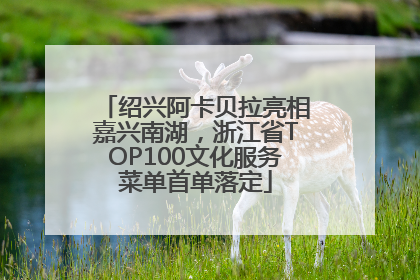 绍兴阿卡贝拉亮相嘉兴南湖，浙江省TOP100文化服务菜单首单落定