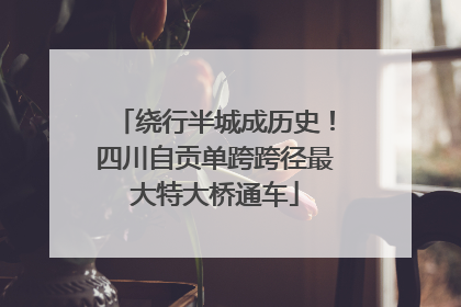 绕行半城成历史！四川自贡单跨跨径最大特大桥通车