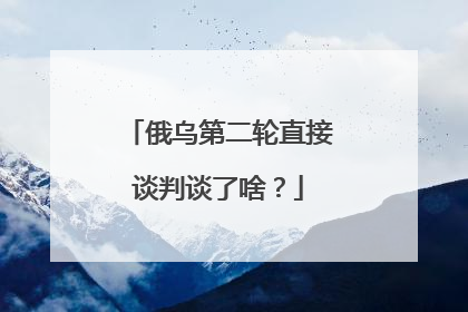 俄乌第二轮直接谈判谈了啥？