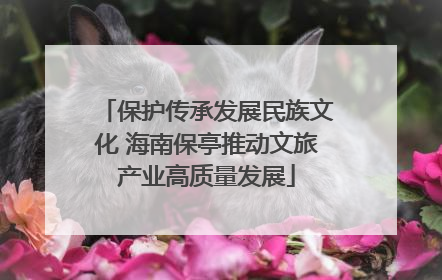 保护传承发展民族文化 海南保亭推动文旅产业高质量发展