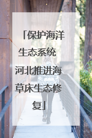 保护海洋生态系统 河北推进海草床生态修复