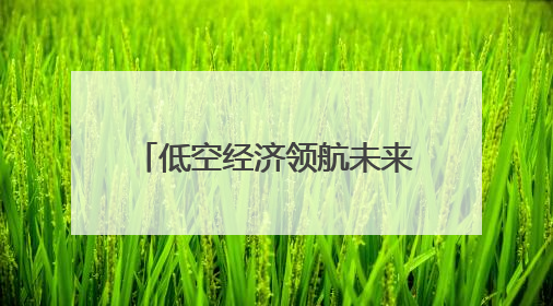 低空经济领航未来 西博会成都馆人气爆棚｜西博视界
