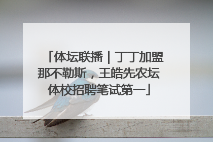 体坛联播｜丁丁加盟那不勒斯，王皓先农坛体校招聘笔试第一