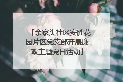 余家头社区安胜花园片区党支部开展廉政主题党日活动