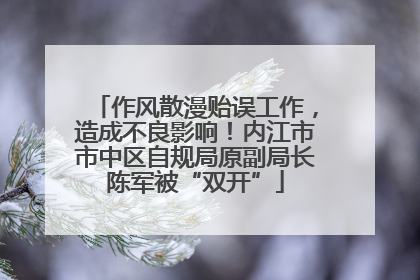 作风散漫贻误工作，造成不良影响！内江市市中区自规局原副局长陈军被“双开”
