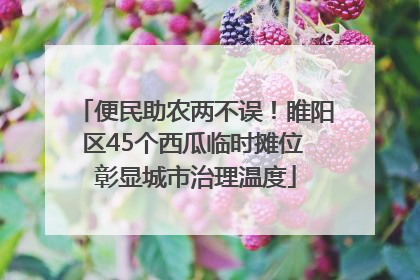 便民助农两不误！睢阳区45个西瓜临时摊位 彰显城市治理温度