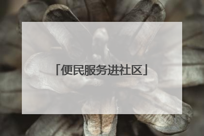 便民服务进社区