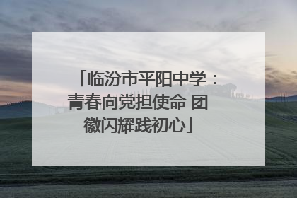 临汾市平阳中学：青春向党担使命 团徽闪耀践初心