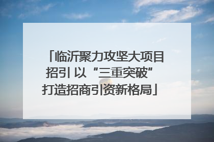 临沂聚力攻坚大项目招引 以“三重突破”打造招商引资新格局
