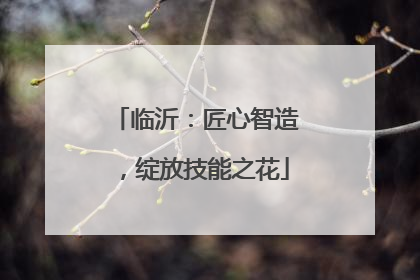 临沂：匠心智造，绽放技能之花