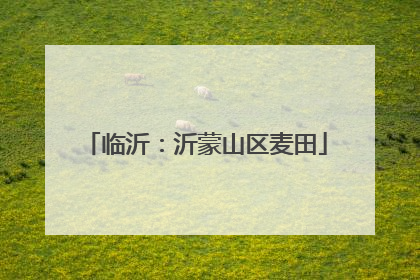 临沂：沂蒙山区麦田