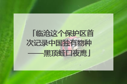 临沧这个保护区首次记录中国独有物种——黑顶蛙口夜鹰