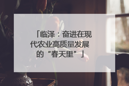 临泽：奋进在现代农业高质量发展的“春天里”