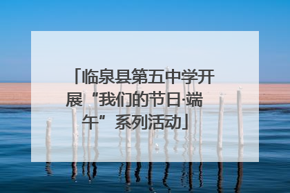 临泉县第五中学开展“我们的节日·端午”系列活动