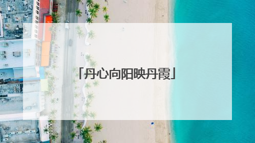 丹心向阳映丹霞