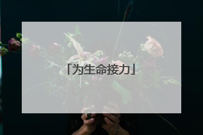 为生命接力