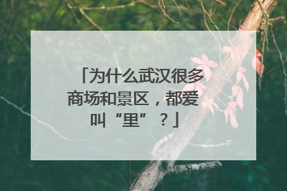为什么武汉很多商场和景区，都爱叫“里”？