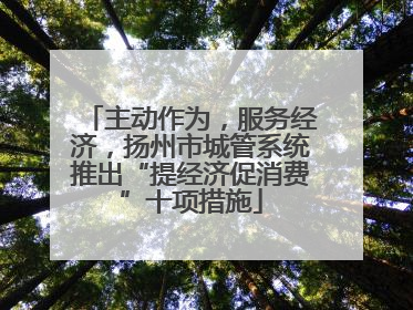 主动作为，服务经济，扬州市城管系统推出“提经济促消费”十项措施