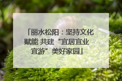 丽水松阳：坚持文化赋能 共建“宜居宜业宜游”美好家园
