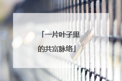 一片叶子里的共富脉络